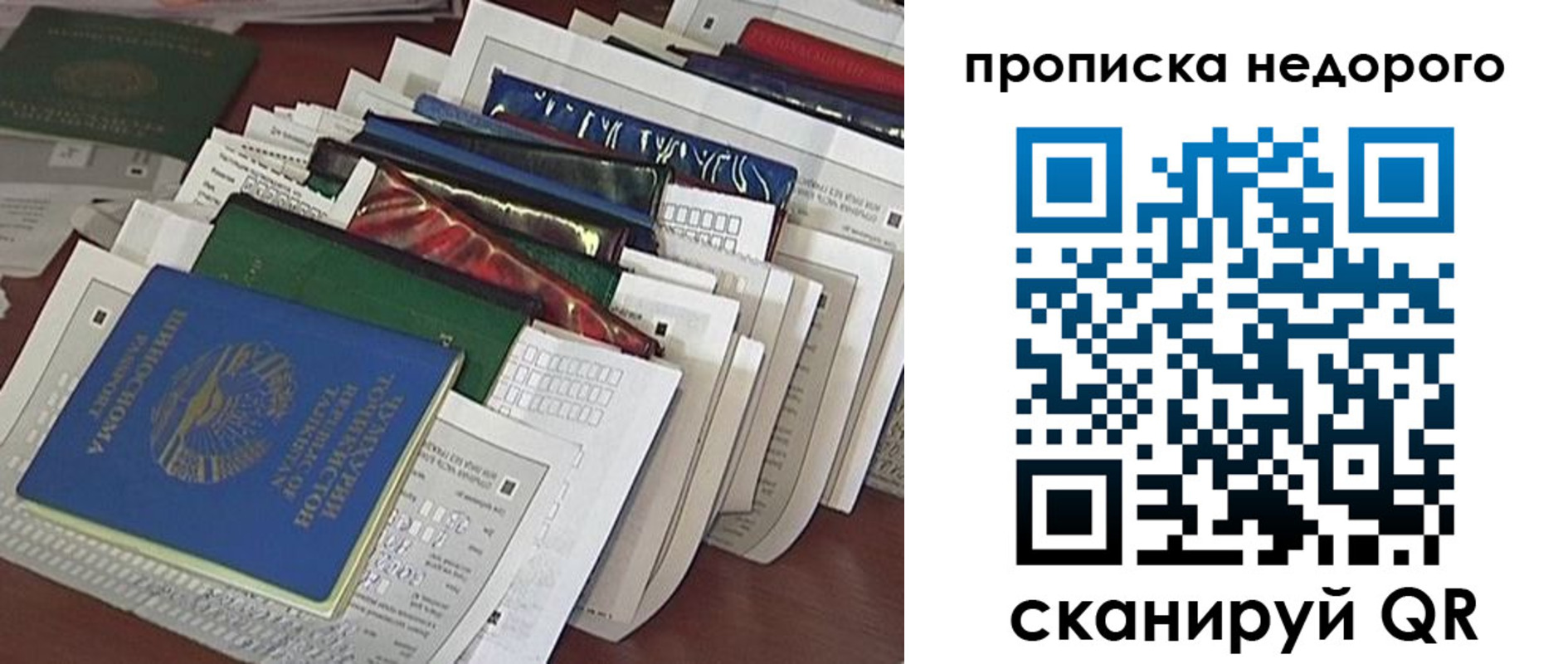 прописка гарантия в ЕАО